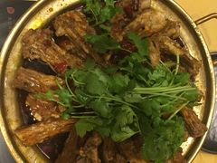 -友乐居羊蝎子(西直门店)