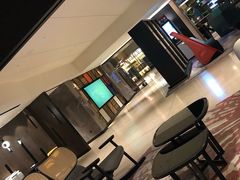 -新加坡瑞士史丹福酒店