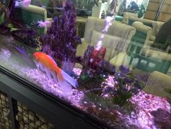点击看大图 -可爱多国际儿童摄影会馆(龙泉店)