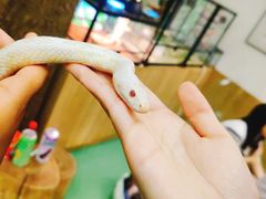 -藦茜花园宠物主题亲子互动体验馆(国顺东路店)