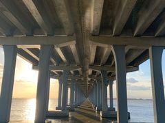 -宝安西湾红树林湿地公园