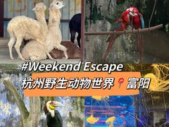 -杭州野生动物世界