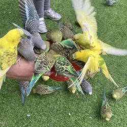 -萌宠亲子动物乐园(槐房万达店)