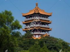 -南沙蒲洲花园