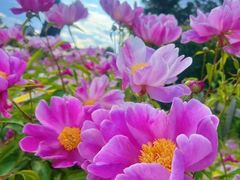 -长春世界雕塑园冰雪艺术天地