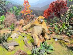 -陕西自然博物馆