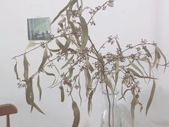 -素咫咖啡CLIFEROSE