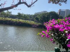 -深圳龙潭公园