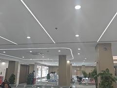 -上海大学附属上海和平眼科医院