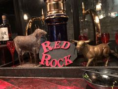 -Red Rock(原宿店)