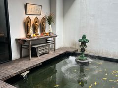 -觀芷隐轩