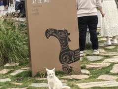 -灯盏窝餐厅