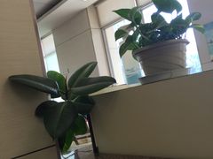 -肯德基(西稍门店)