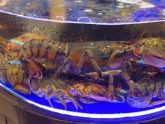 -同庆楼(天鹅酒家店)