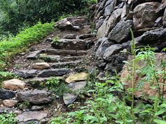 -齐王寨景区
