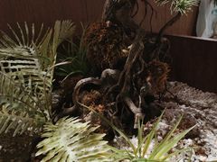 -湘邻呷铺·田园家宴(汉基广场店)