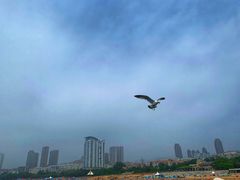 -星海蹦极娱乐