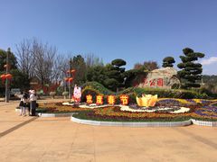 -洛龙公园