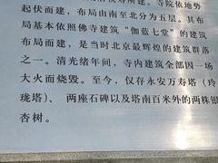 -玲珑塔公园