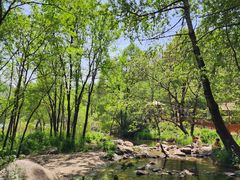 -玉渡山自然风景区