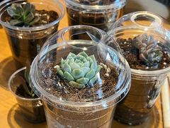 -星巴克(嘉兴桐乡吾悦广场店)