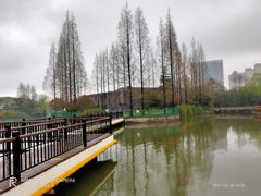 -黄兴公园