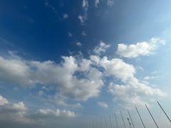 -碧海金沙