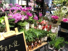 -豆豆花艺(新光天地店)