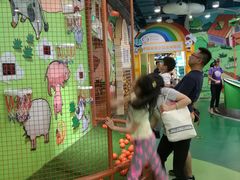 -中国宋庆龄青少年科技文化交流中心