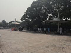 -新江湾城公园