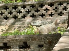 -五台山风景名胜区-罗睺寺