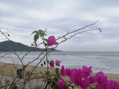 -青澳湾北回归线广场