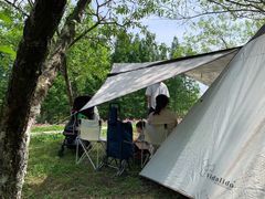 -桤木河湿地公园