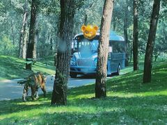 -北京野生动物园