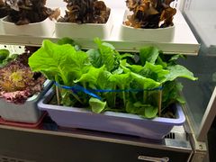 -番食园鲜食火锅(高新店)