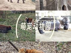 -哈尔滨北方森林动物园