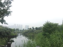 -眉山湿地公园(东坡区)