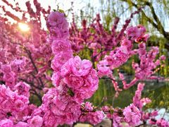 -北京西山国家森林公园