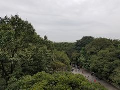 -南京钟山宾馆(江苏省会议中心)