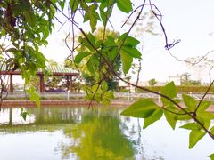 -侯臣咖啡文化村