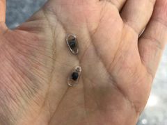 -大明眼镜(金源新燕莎MALL店)