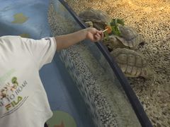 -上海大自然野生昆虫馆(东方明珠·爬宠昆虫探索中心)
