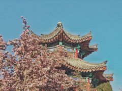 -济南大明湖景区