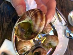 “traditional”&nbsp;snails“传统”蜗牛-金蜗牛