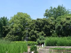 -成都市活水公园