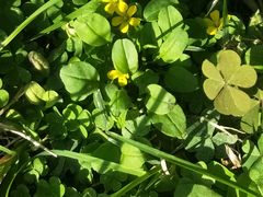 -舍利塔滩地公园-无垢净光舍利塔