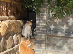 -龙华寺