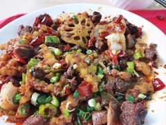 -四川农业大学(雅安校区)