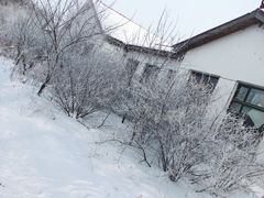 -雾凇岛