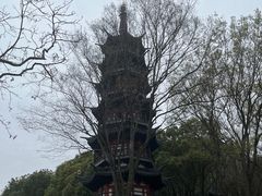 -上海佘山国家森林公园西佘山园